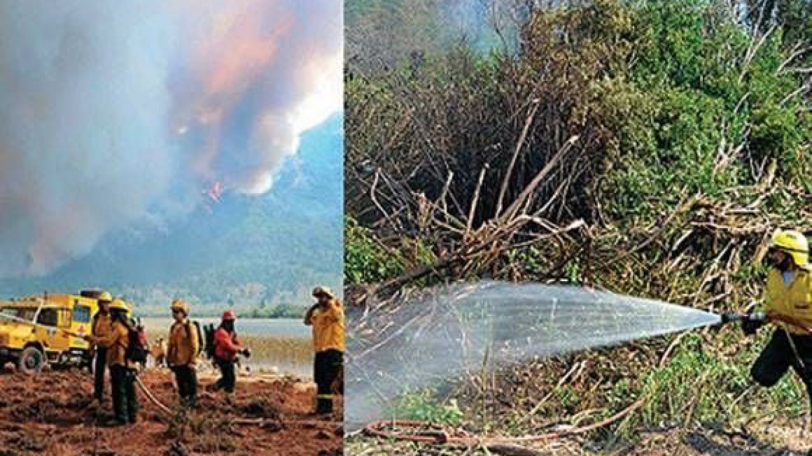 Sin fronteras: brigadistas de varias provincias luchan por resguardar el parque