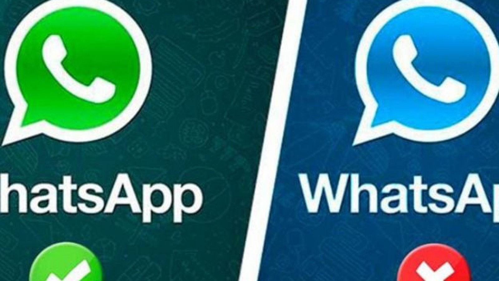 ¿Sabías que Whats App te puede bloquear?