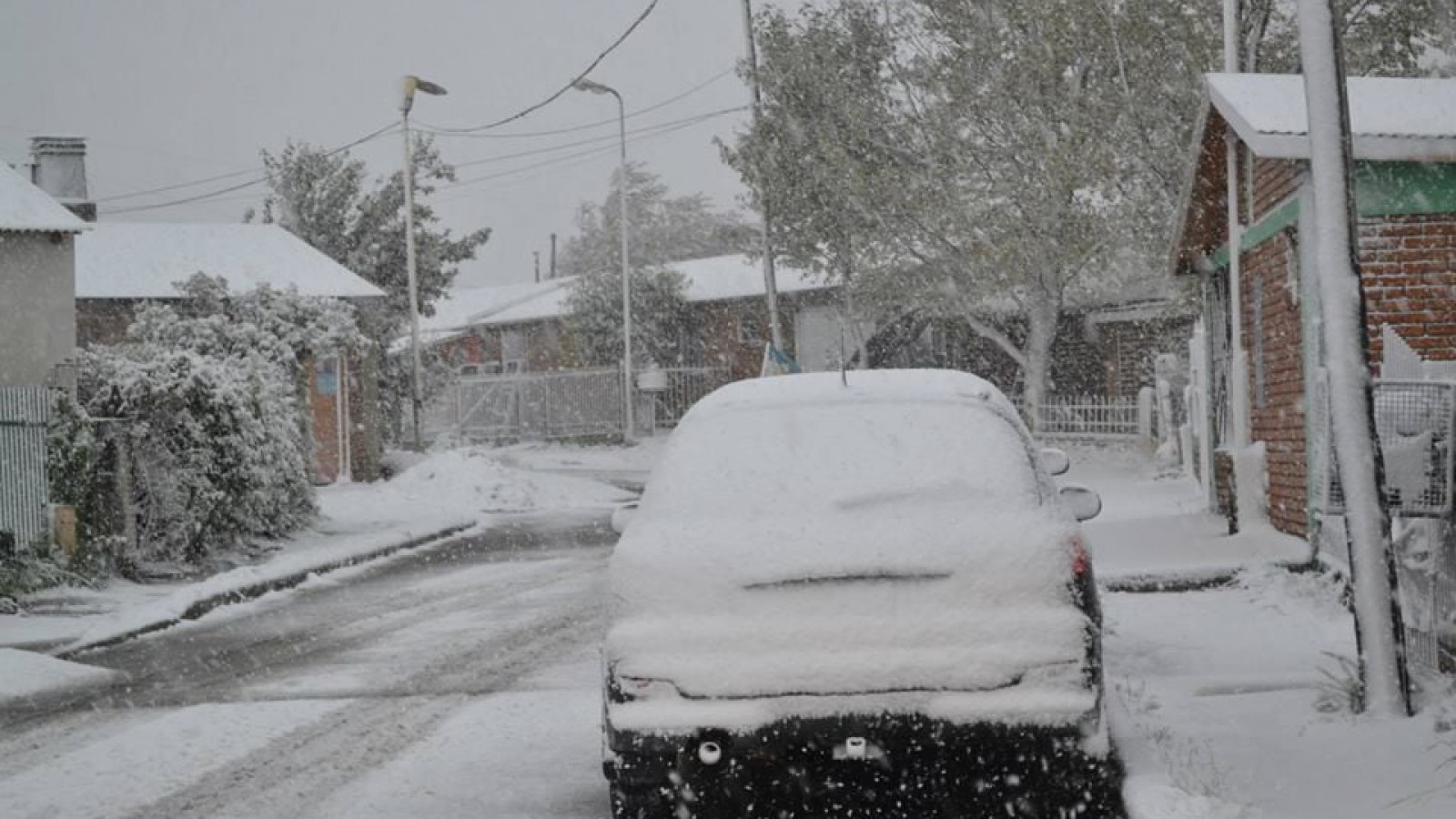 Foto. Patagonia Nexo
