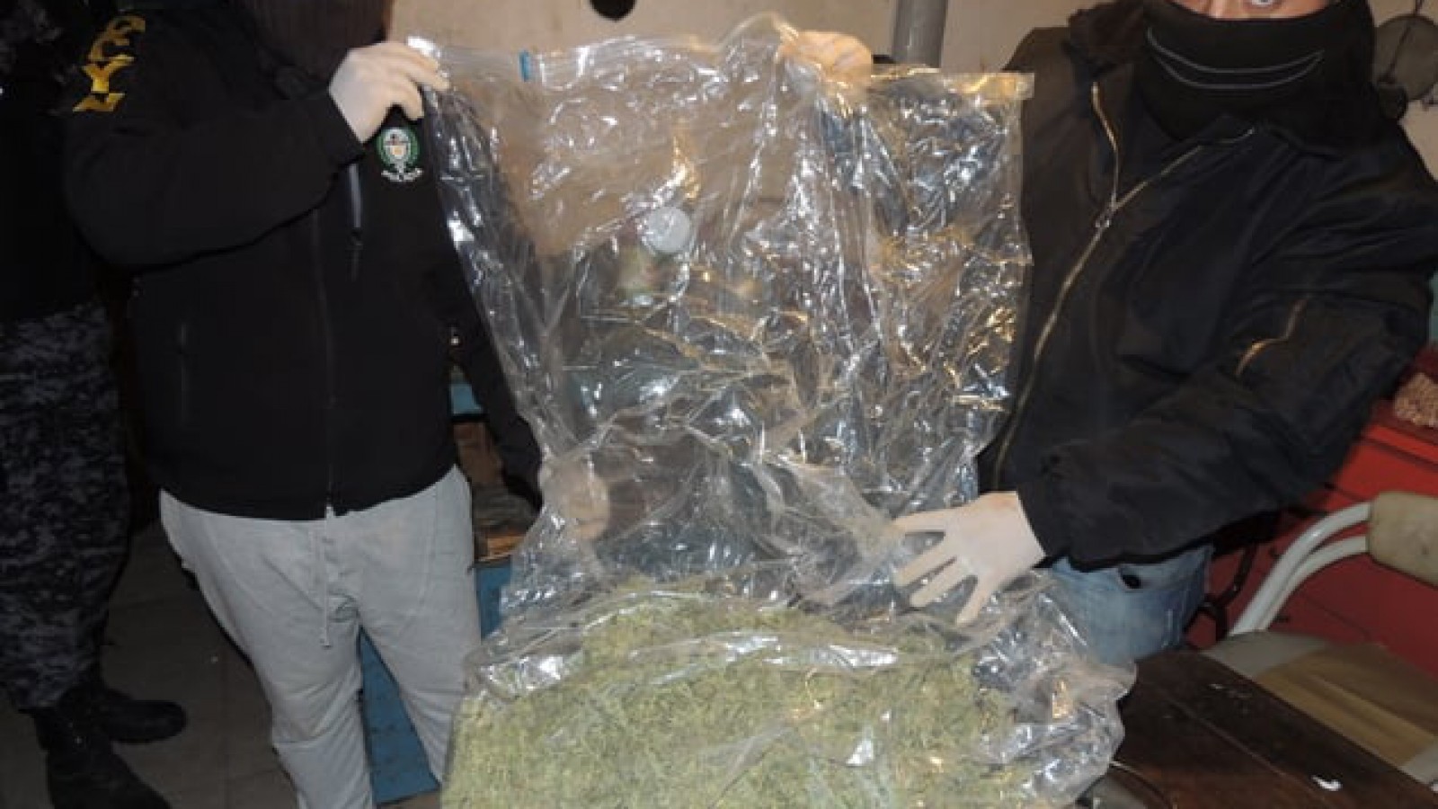 Secuestran gran cantidad de marihuana en una estancia cercana a Perito Moreno