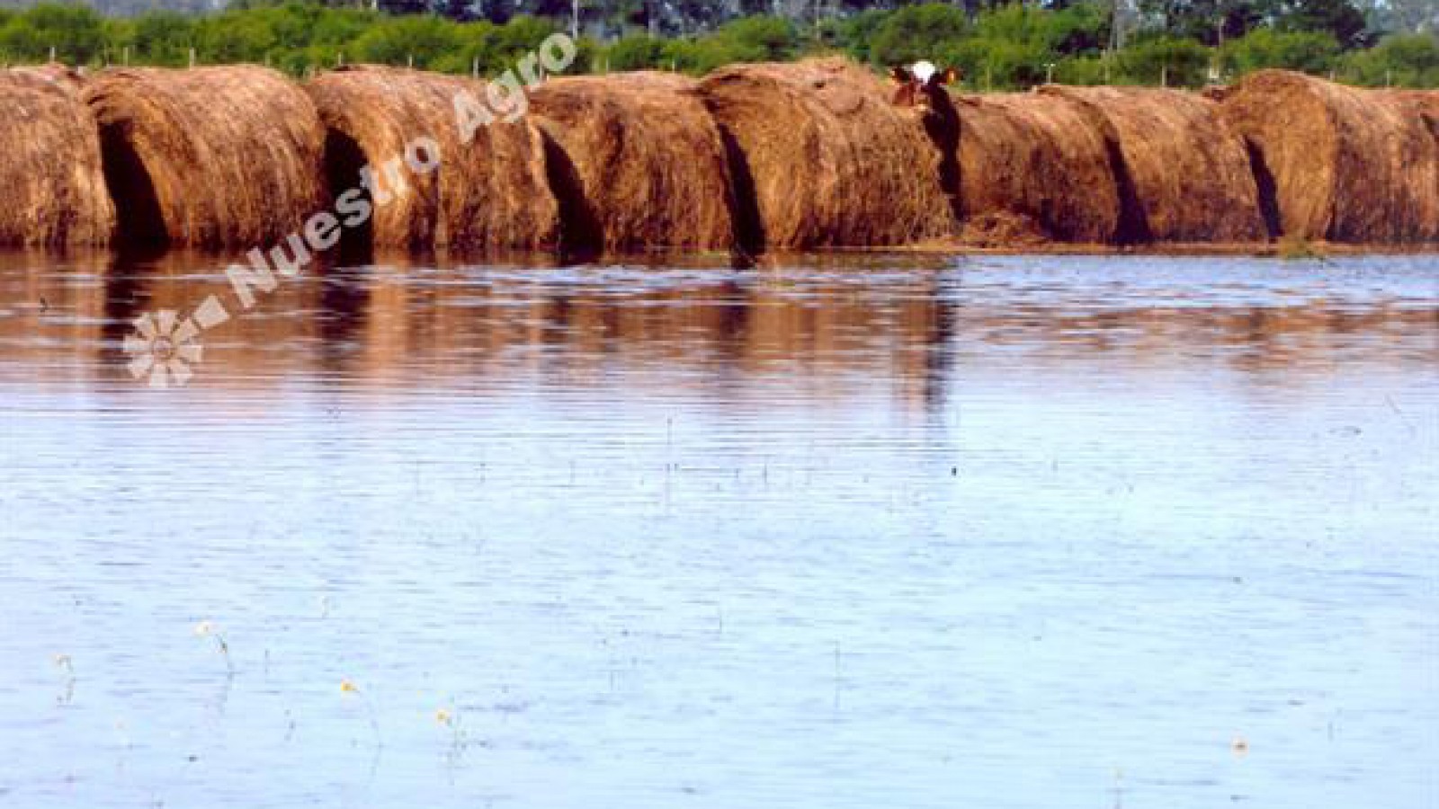 Manifestación y panfleteada en la Ruta 70 por el canal Vila-Cululú