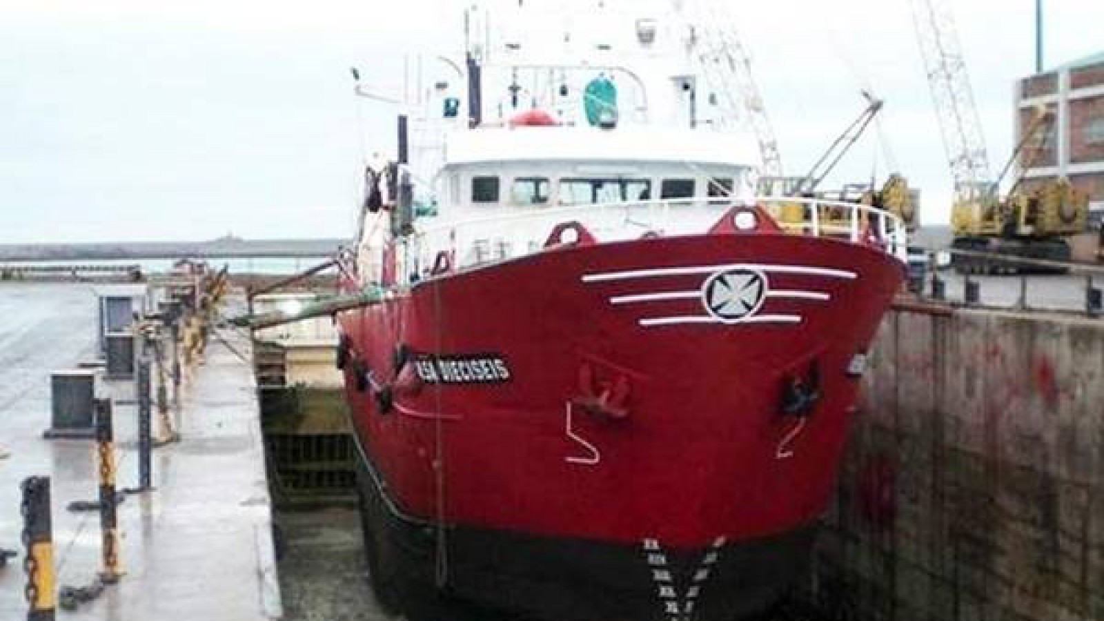 La peor cara de la pesca: devuelven 10 toneladas de langostino al mar