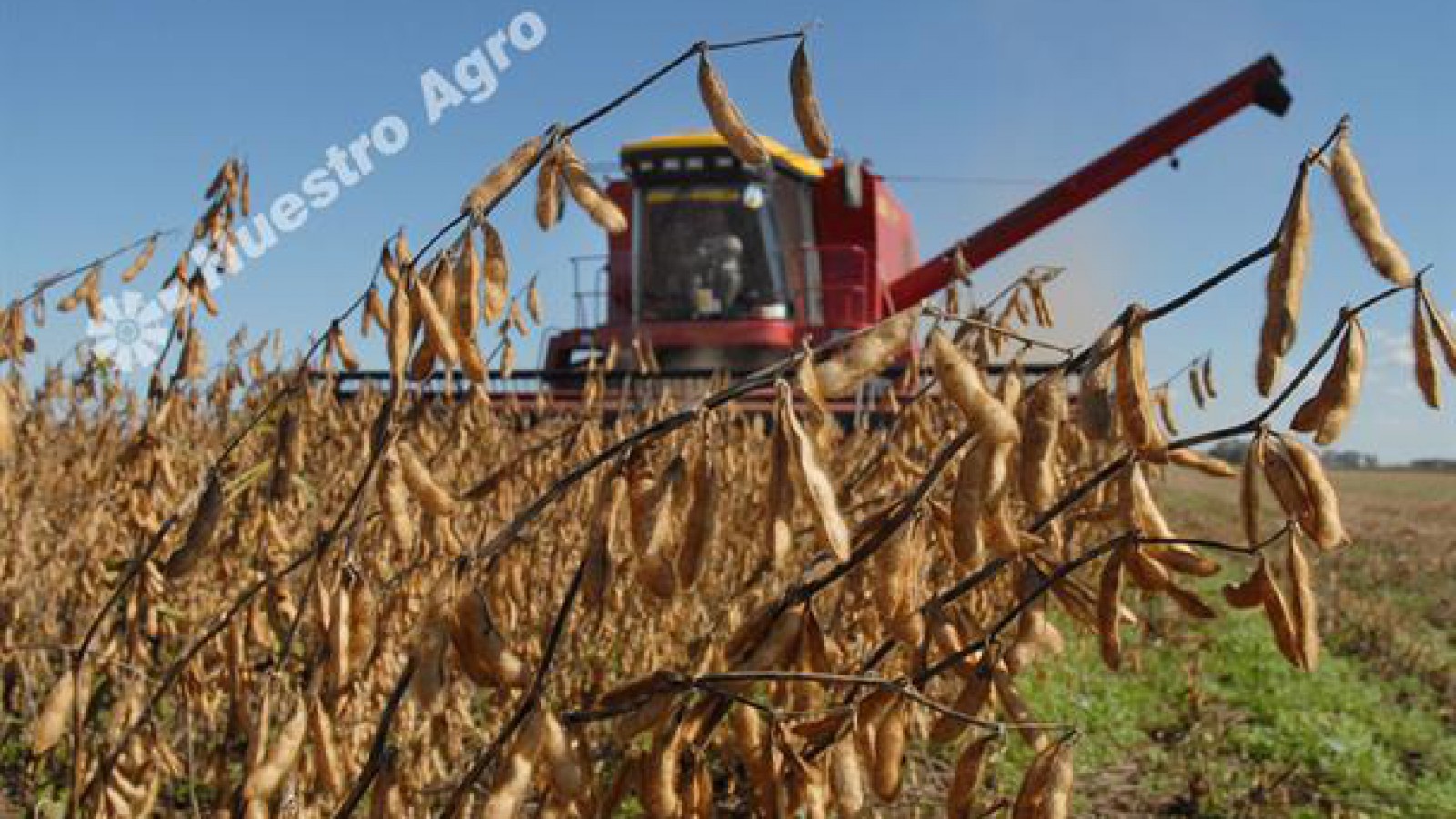 Flexibilizan pautas para importación de soja con destino a procesamiento y exportación