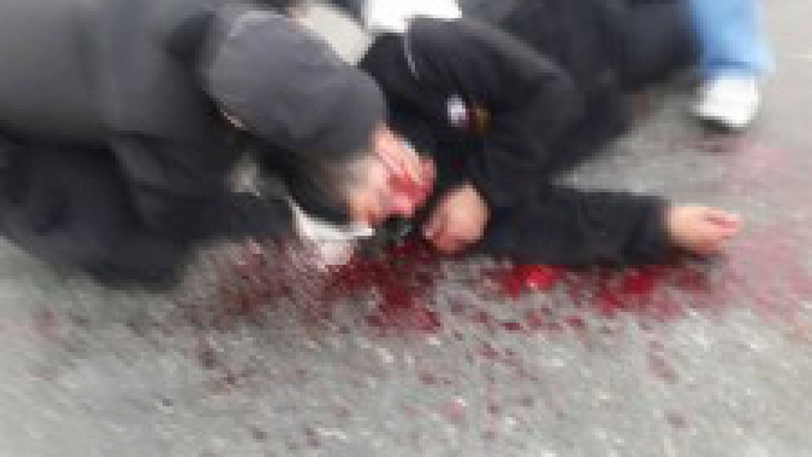 Salvaje agresión a dos policías: El juez ordenó la prisión preventiva de uno de los imputados