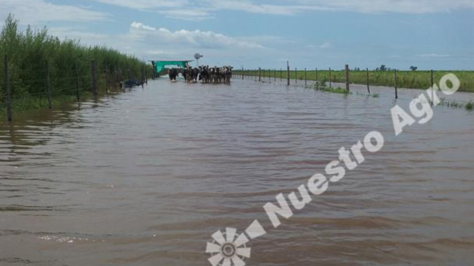 La Nación prorrogó el estado de emergencia y/o desastre agropecuario en la provincia de Santa Fe