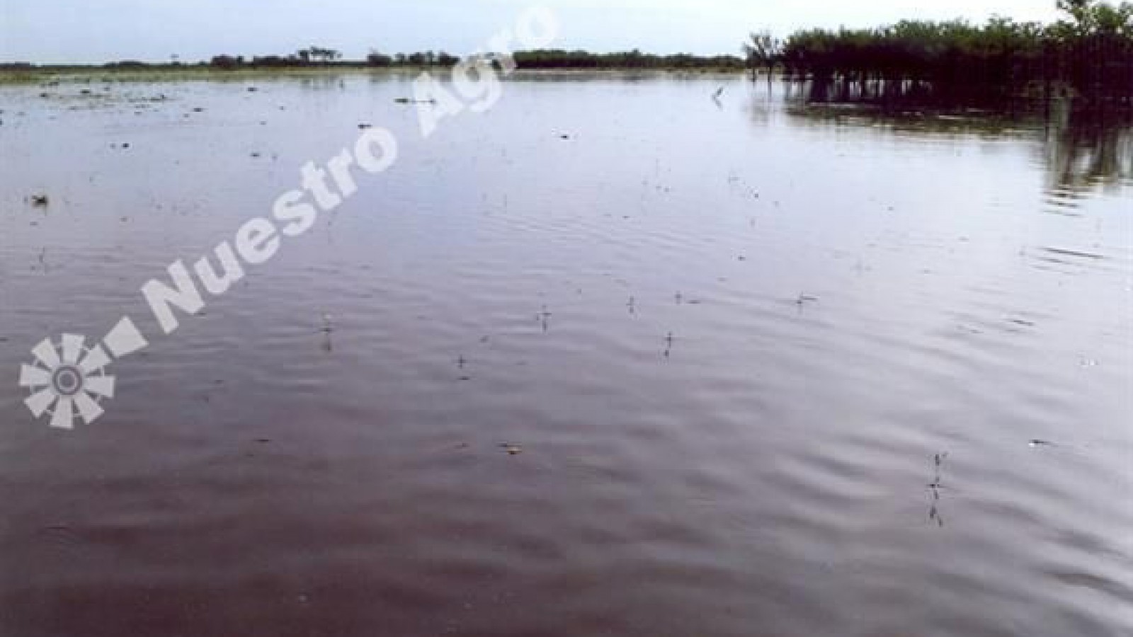 Santa Fe: convocan a la Comisión de Emergencia Agropecuaria provincial